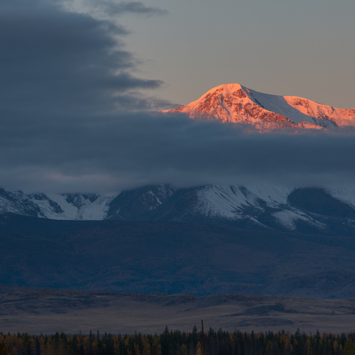 Photo #14177315