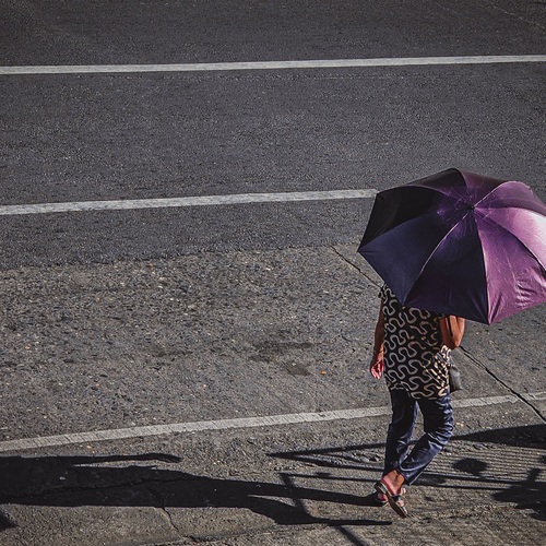 Photo #14177391