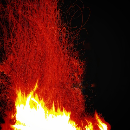 Photo #14177707