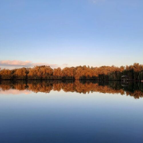 Photo #14177719