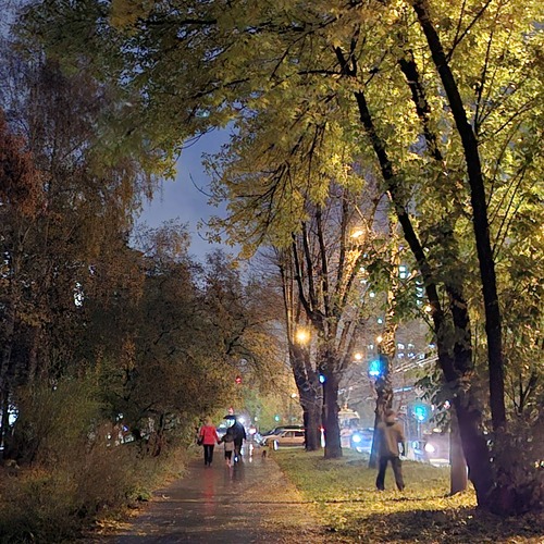 Photo #14177961
