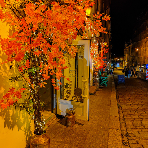 Photo #14178135