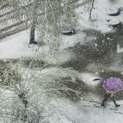 Photo #14178233