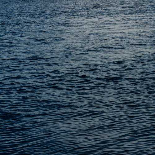 Photo #14178350