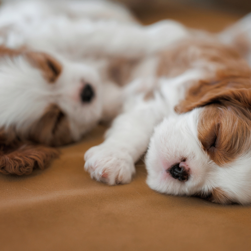 Photo #14178426