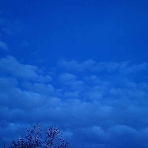 Photo #14178881