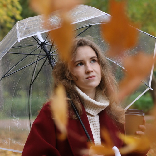 Photo #14178893