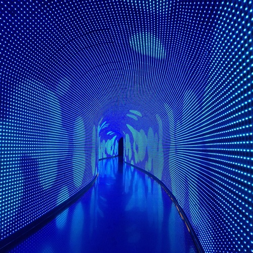 Фотография #14179170