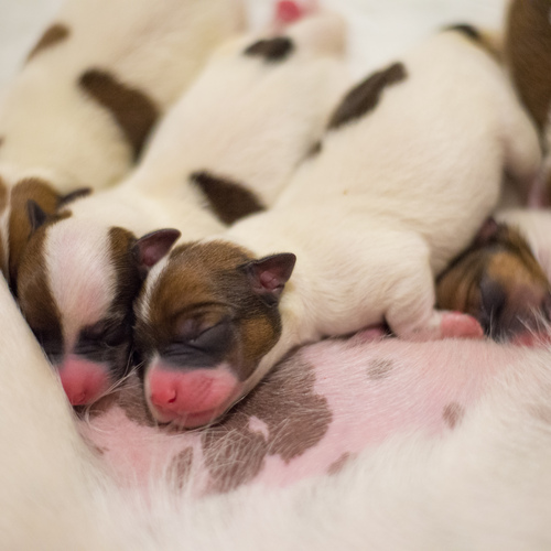 Photo #14179478