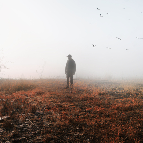 Photo #14179804