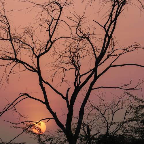 A beautiful sunset in the field