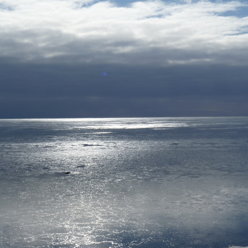 Photo #14180313