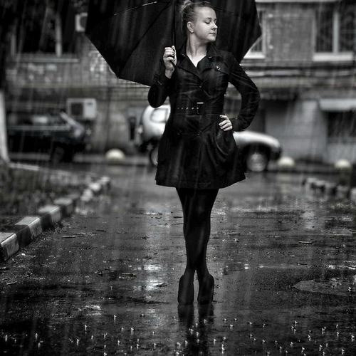 Фотография #14180553