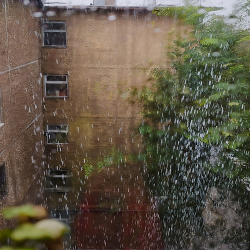 Photo #14180571