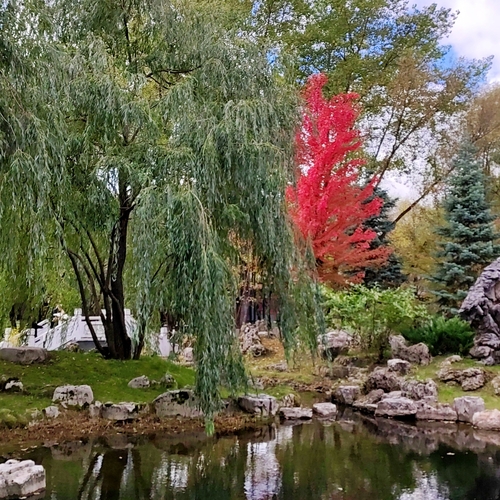 Осень