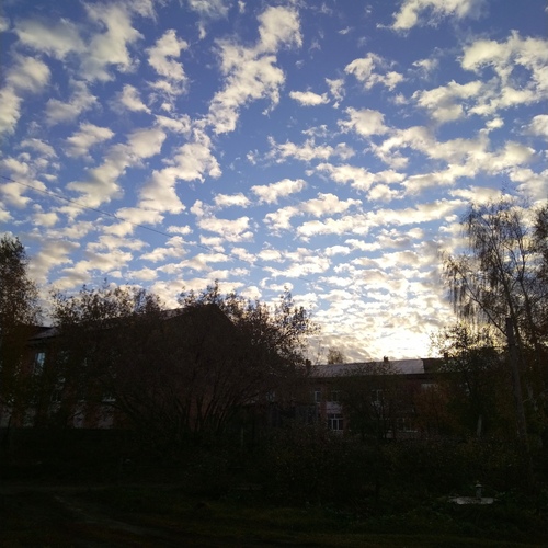 Photo #14181341