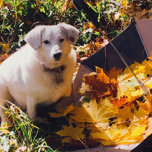 Photo #14181394