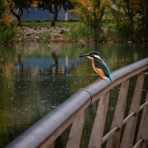Photo #14182044