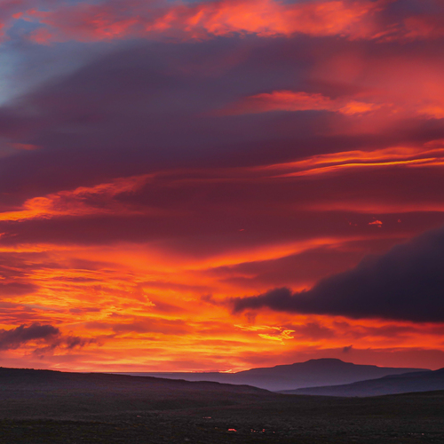 Photo #14182055
