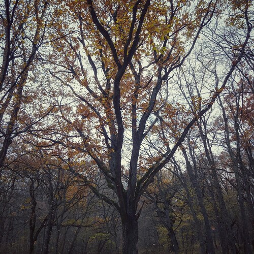 Photo #14182197