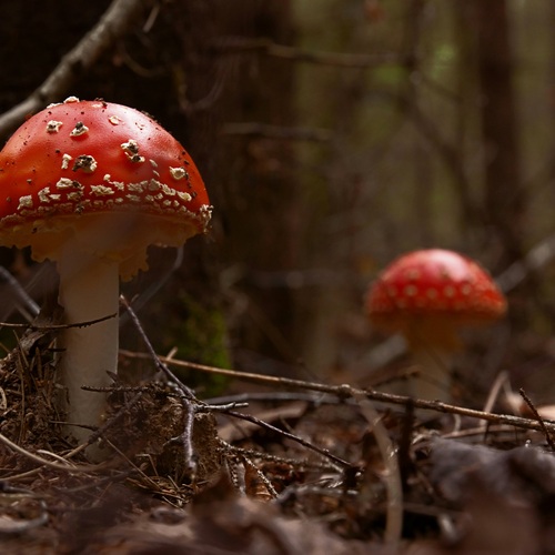 Photo #14182457