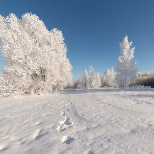 Photo #14182572