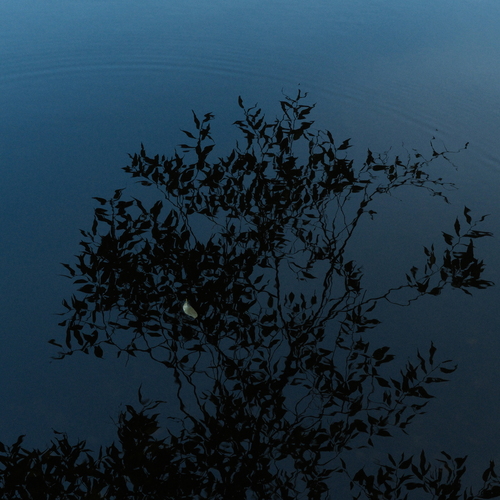 Photo #14182964