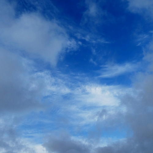 Photo #14183093