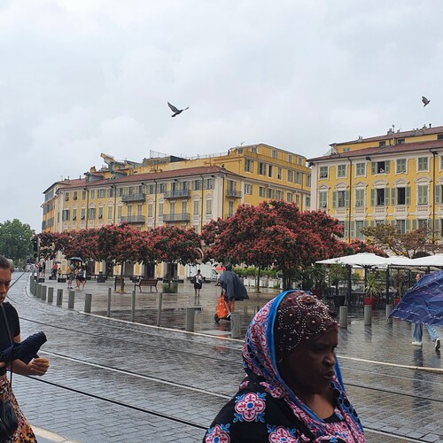 Photo #14183560