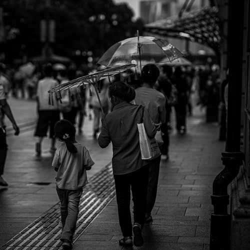 Photo #14183798