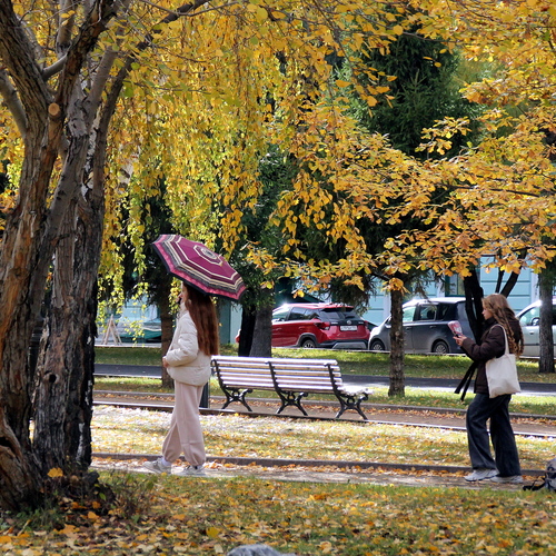 Photo #14184045