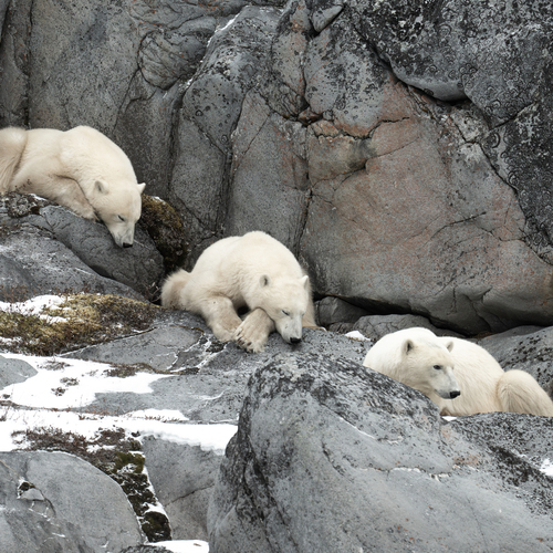 Photo #14184238
