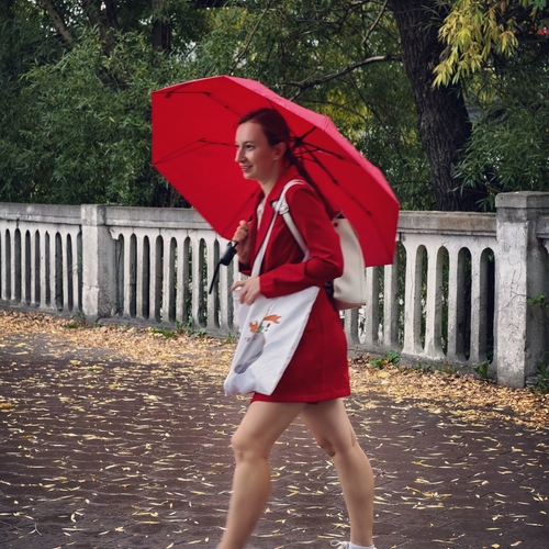 Photo #14184481