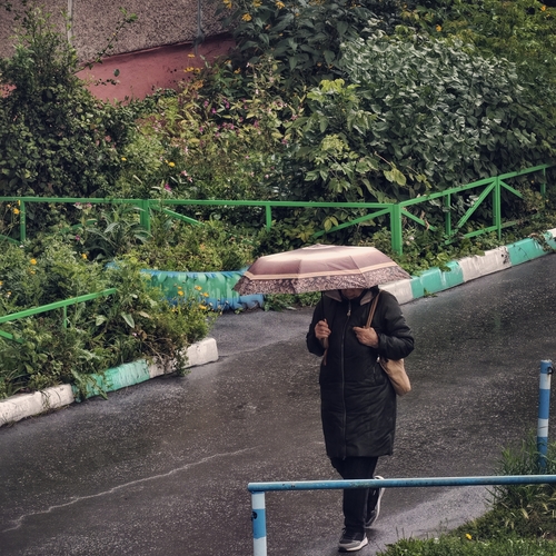 Photo #14184483
