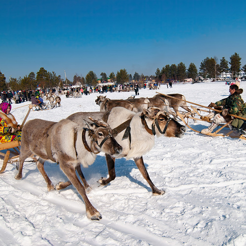 Photo #14184660