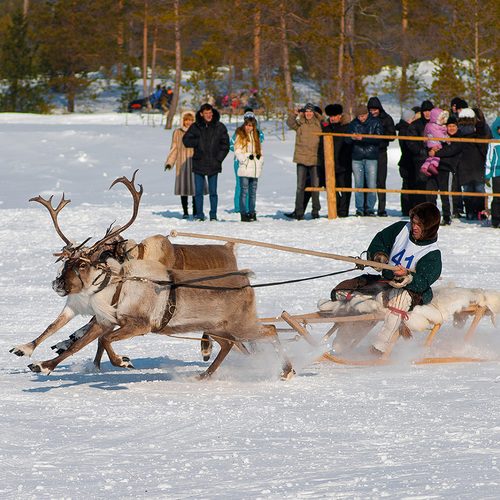 Photo #14184687