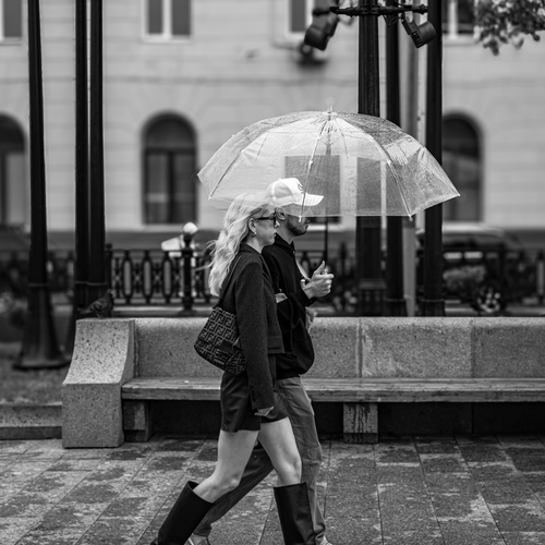 Photo #14184738