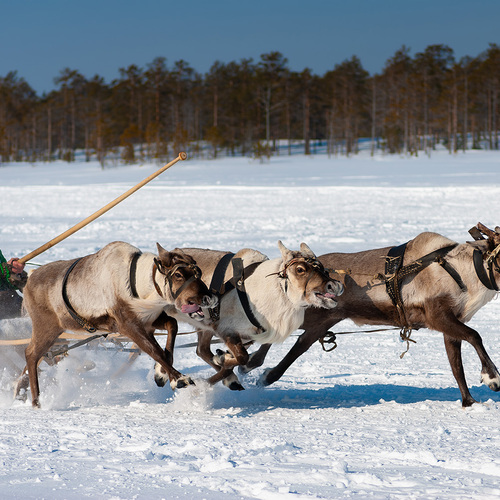 Photo #14184788