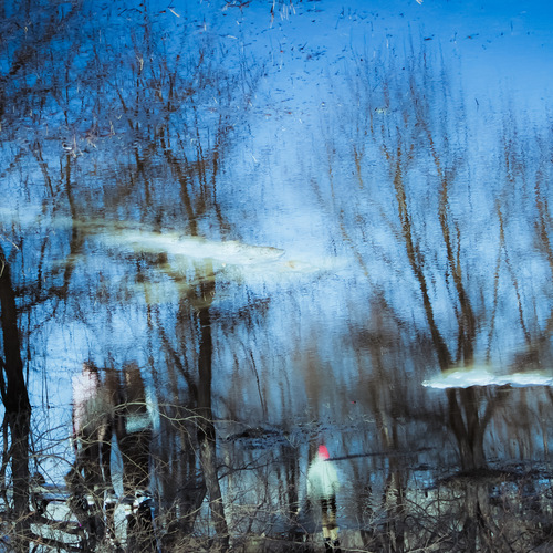 Photo #14184815