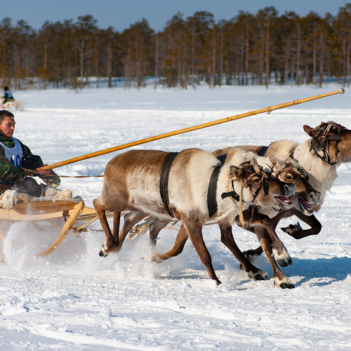 Photo #14184890