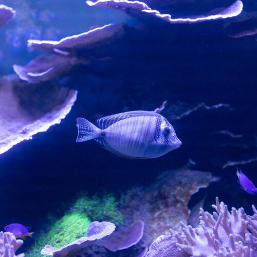 Photo #14185826