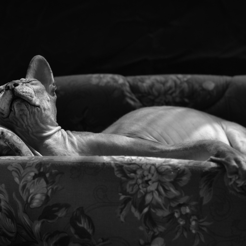 Photo #14185963