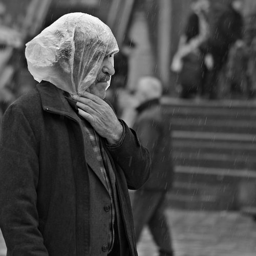 Photo #14186060
