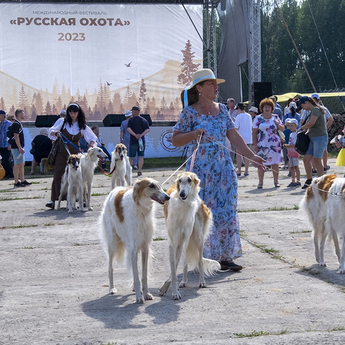 Photo #14186259