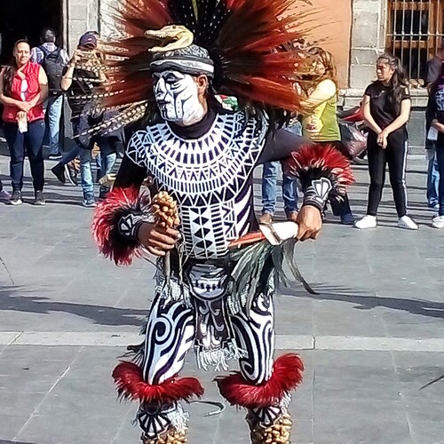 Photo #14186284