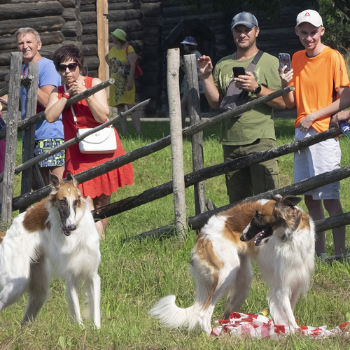 Photo #14186337