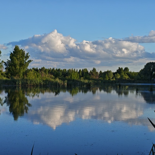 Photo #14186588