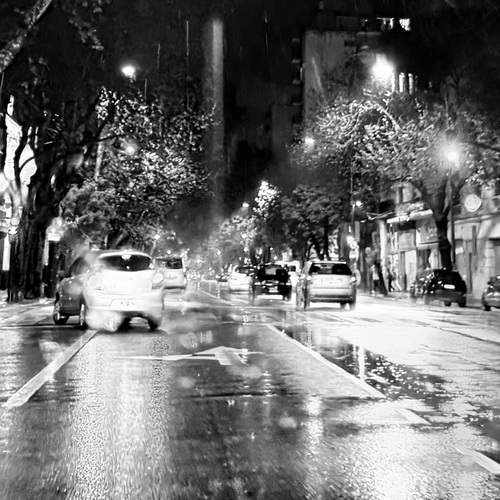 Photo #14186758