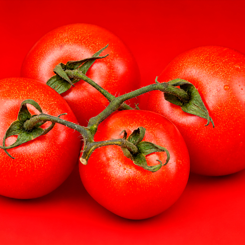Scarlet Harmony – The Art of Simplicity