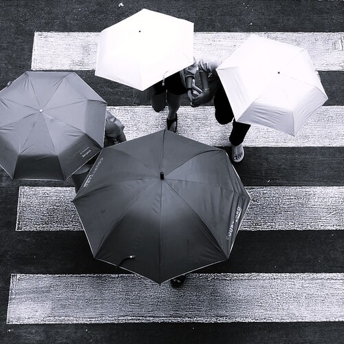 Photo #14187121